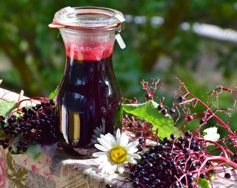 diy-elderberry-cough-syrup-green-eyed-grace