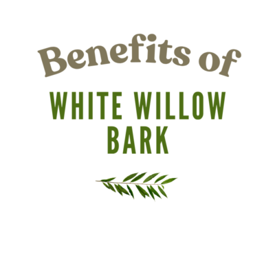 THE BENEFITS OF WHITE WILLOW BARK