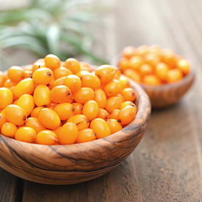 What is Sea Buckthorn Oil?