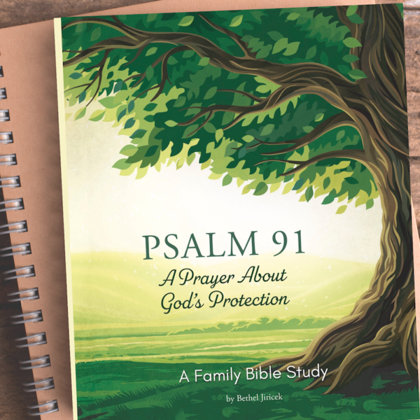 PSALM 91 ~ Books & Printables