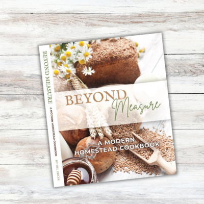 Beautiful Soul-Lifting Book