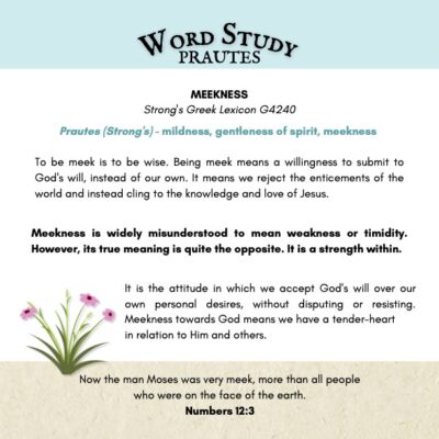 This brings excitement in studying the Word!